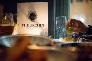 The Urchin Pub in Hove, Craft Beer and Shellfish