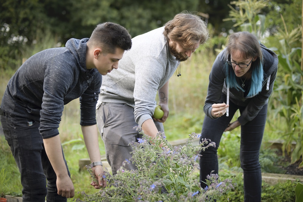 Foraging, Kindling restaurant