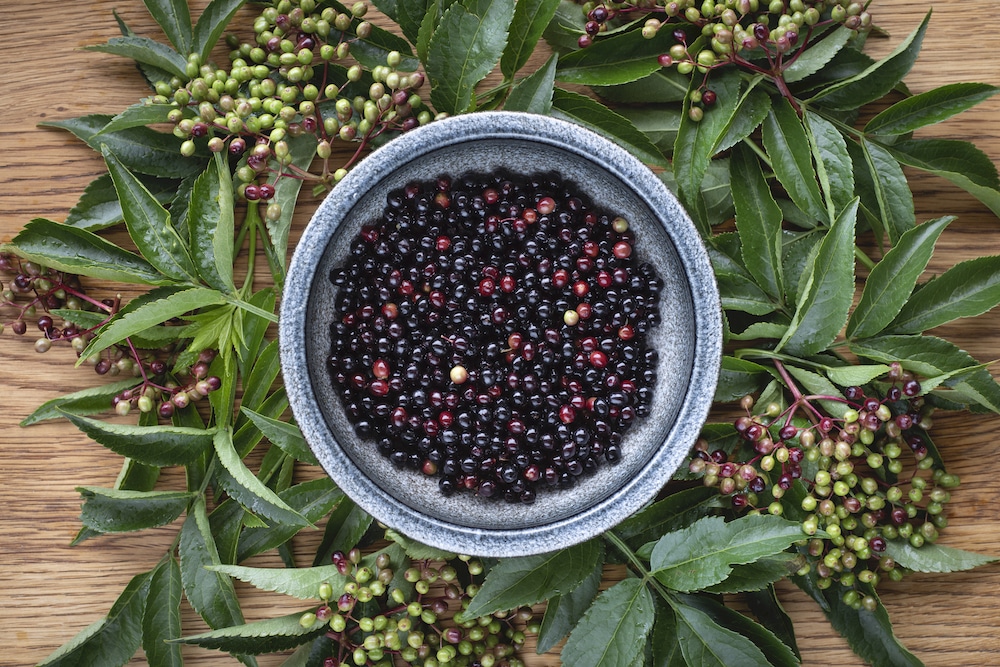 Berries, Kindling restaurant Brighton