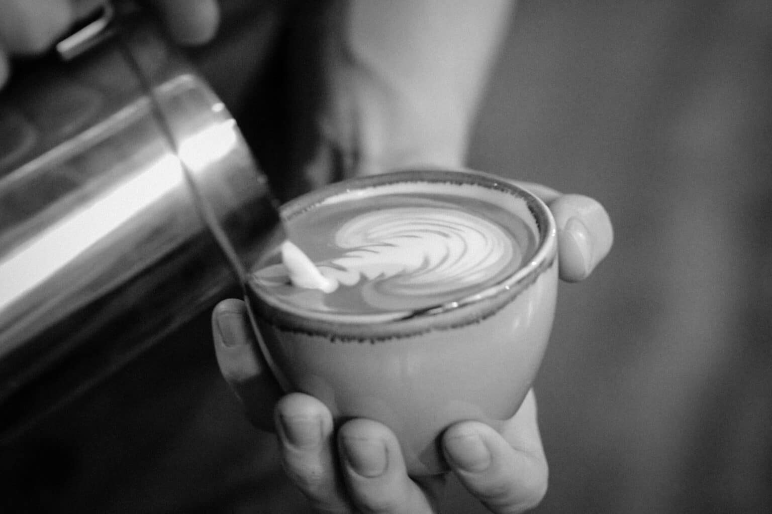 Fermentation, Picklin and Beyond