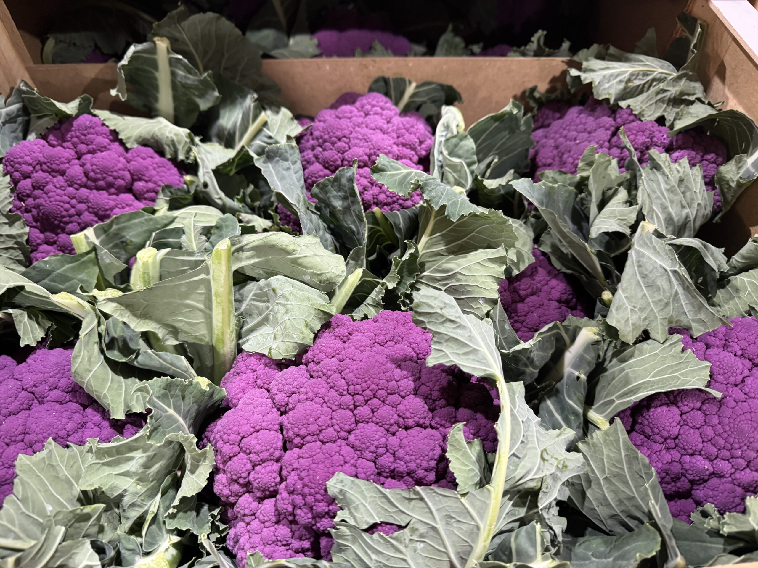 purple sprouting broccoli. TG Fruits