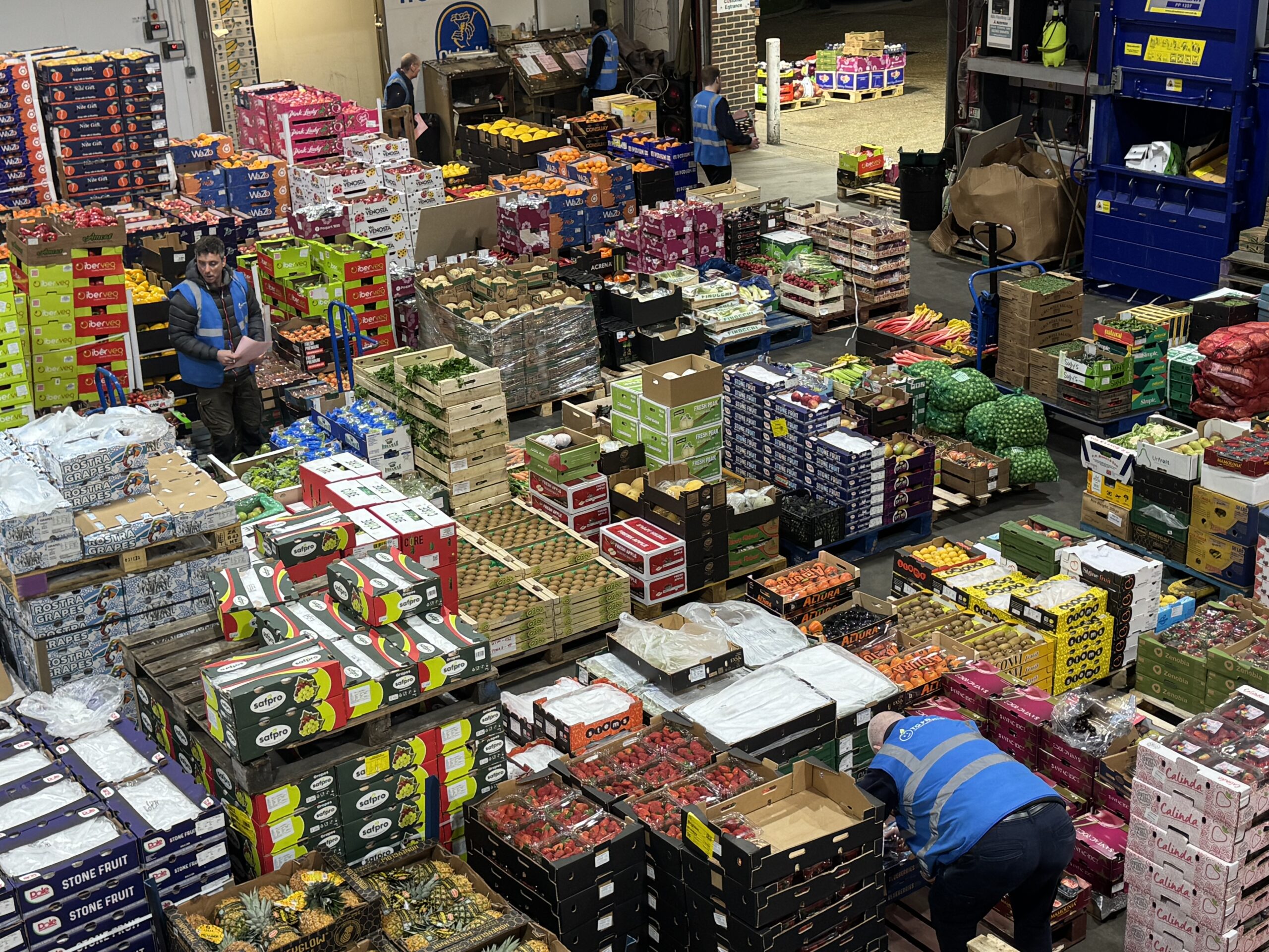 Picking and packing at TG Fruits