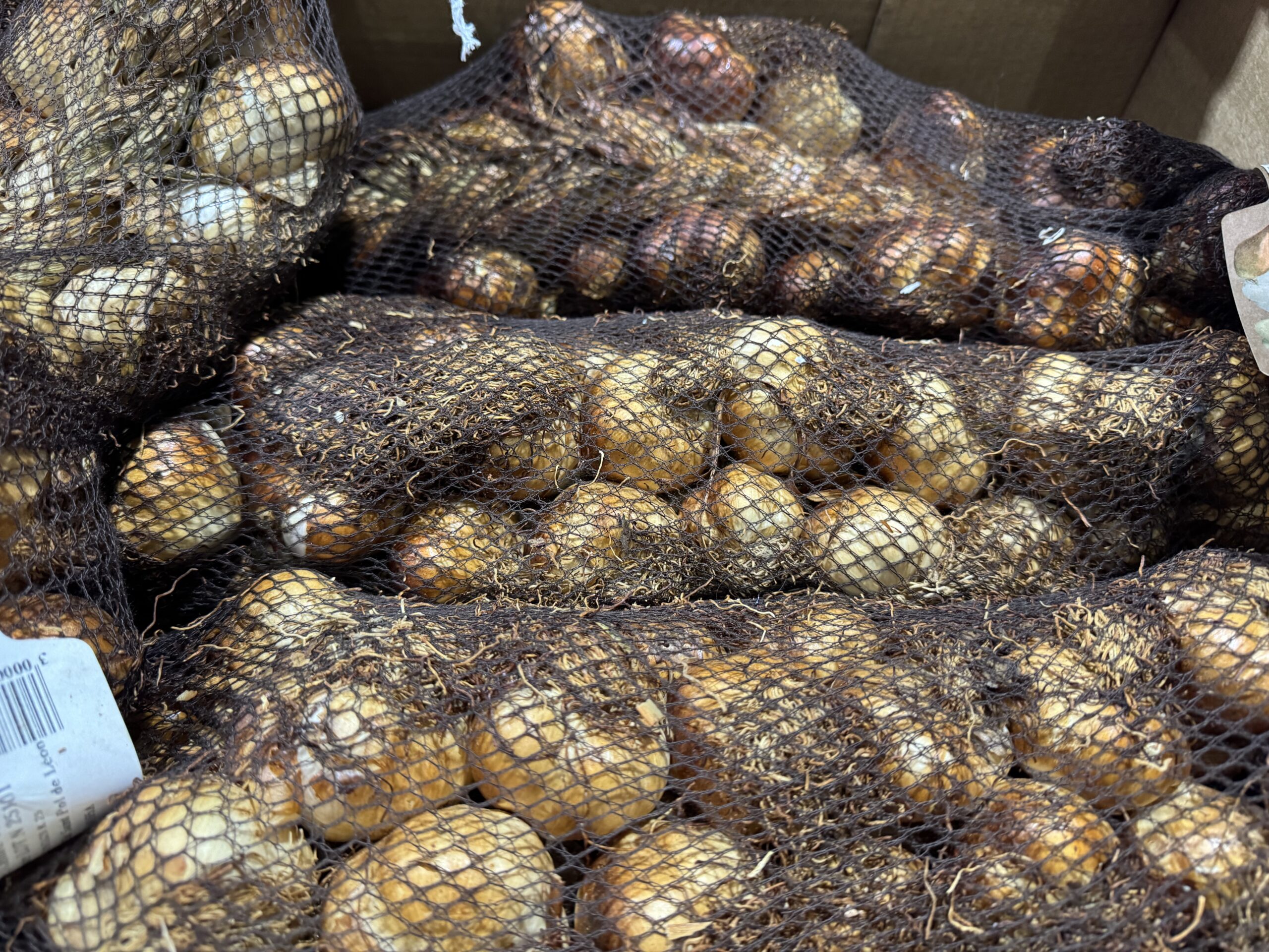 Onions, TG Fruits . Many bags