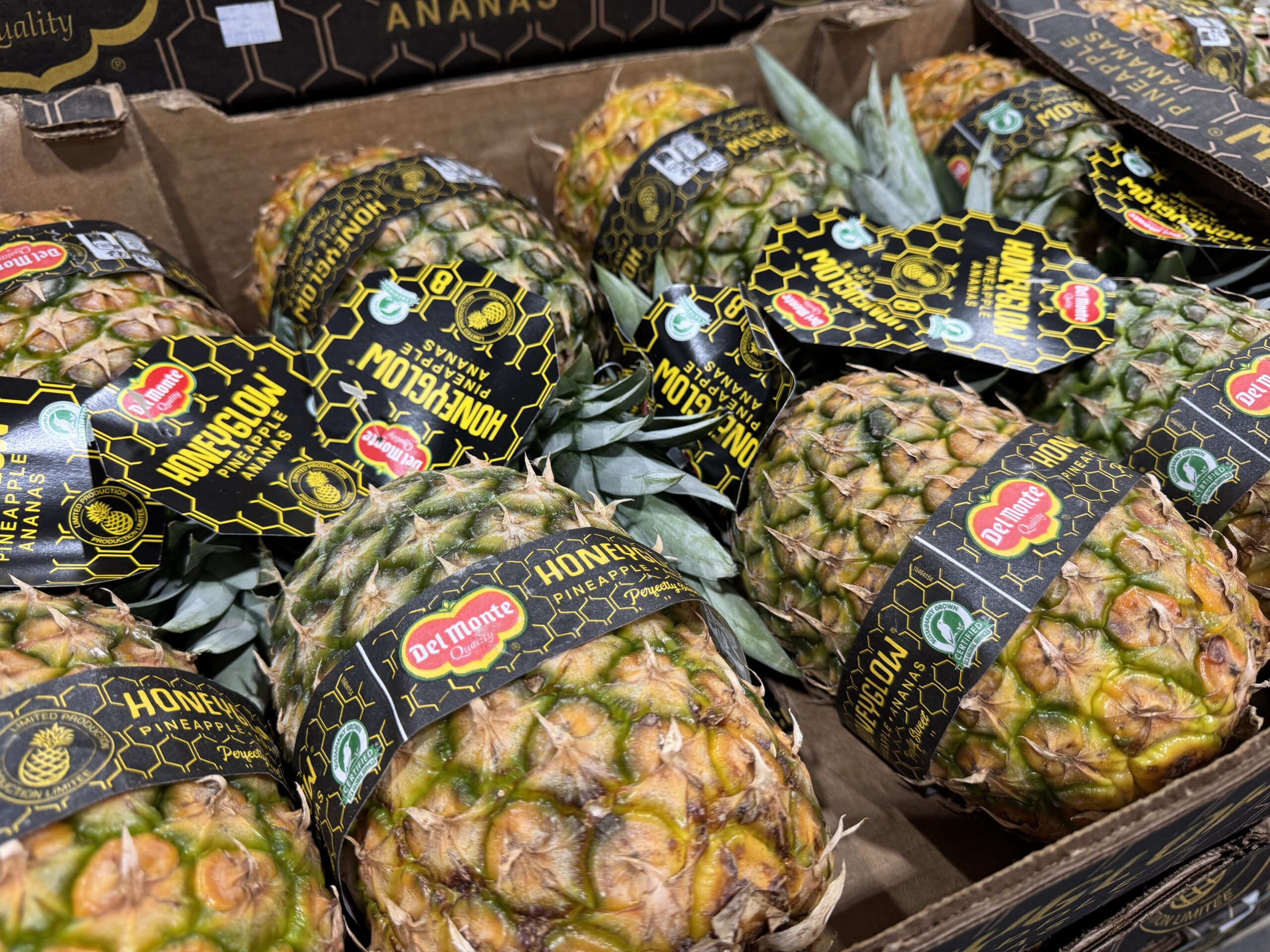 Pineapples, ready for delivery
