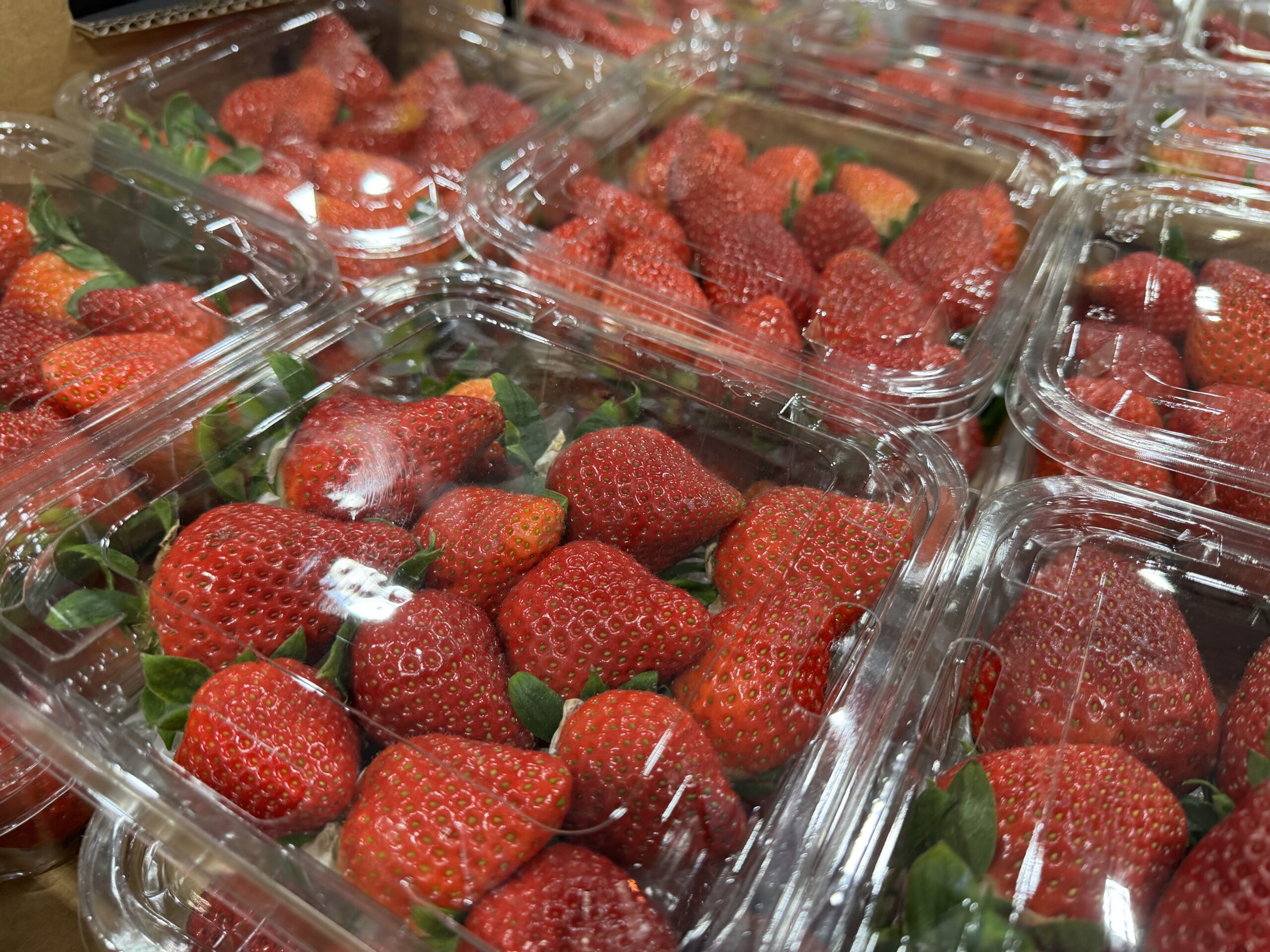 strawberries - TG Fruits. Seasonal fruit and veg are available