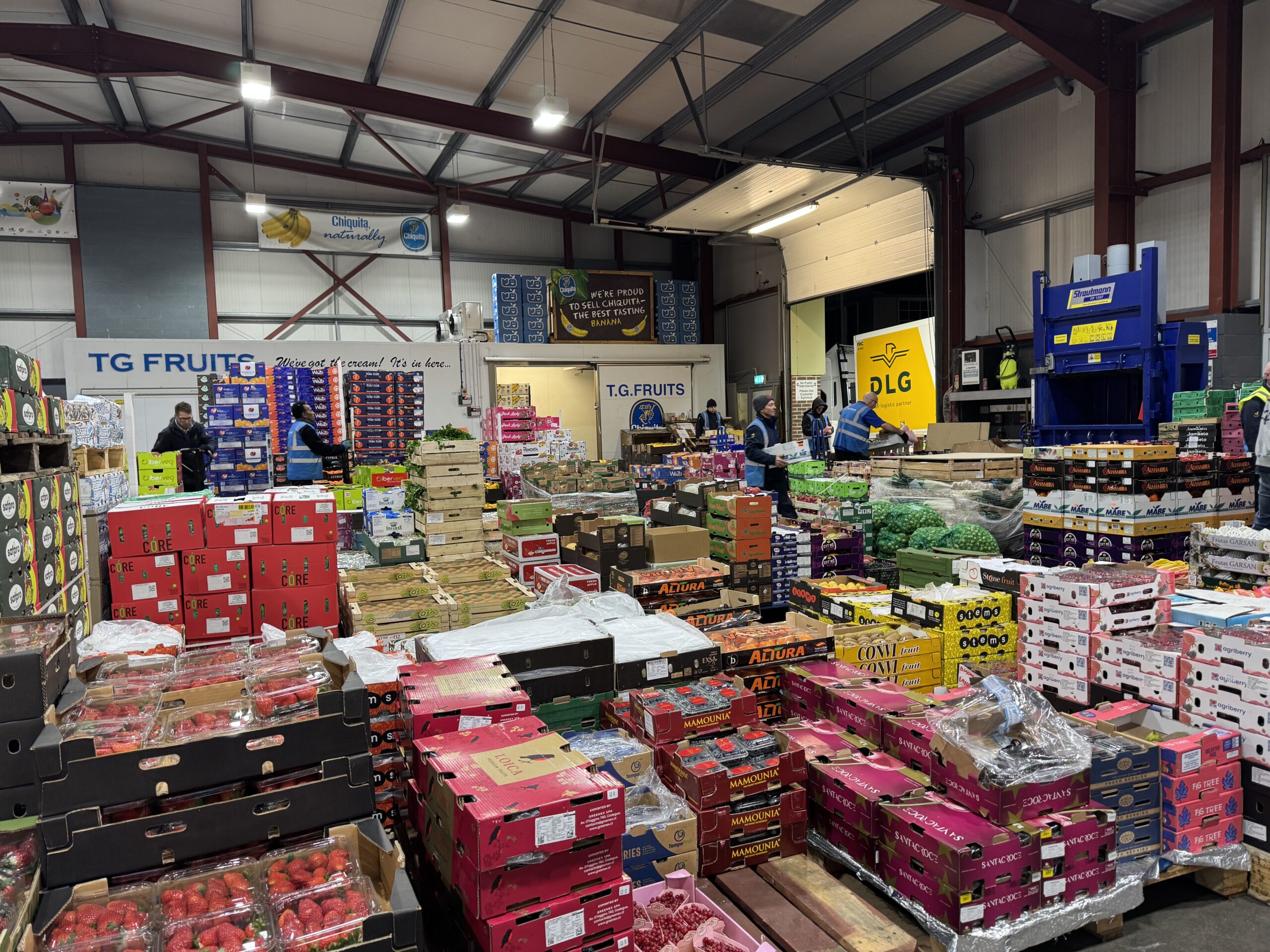 Pallet cold store - TG Fruits in Sussex