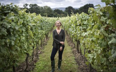 Cherie_Vines_Portrait Cherie Spriggs, Head Winemaker at Nyetimber, standing among vineyard vines in Sussex