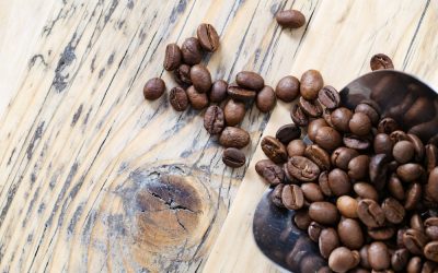 Cafe beans. Cafe and coffee shop/ barista jobs in Hove