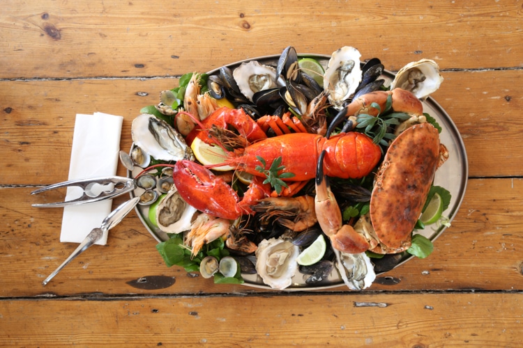 Fish Restaurant Brighton Seafood Sushi Fish and Chips