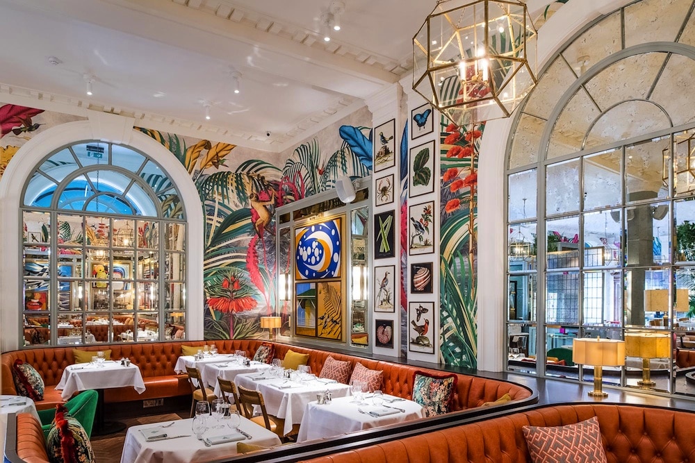 The Ivy Brighton Brasserie The Ivy in the Lanes And 20 RB Offers