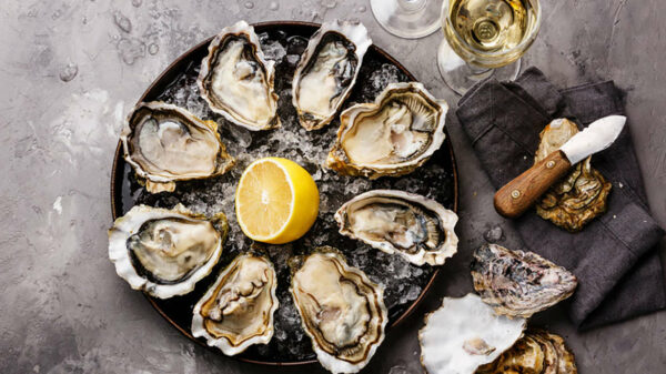 oysters in the bowl filled with ice and half lemon in middle