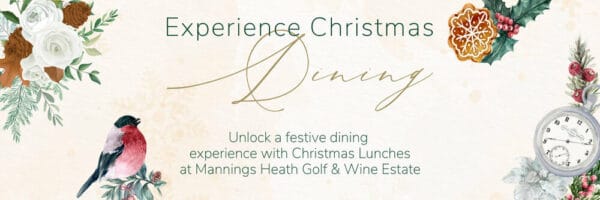 Christmas+_Cavery_Web+Banner+(1)