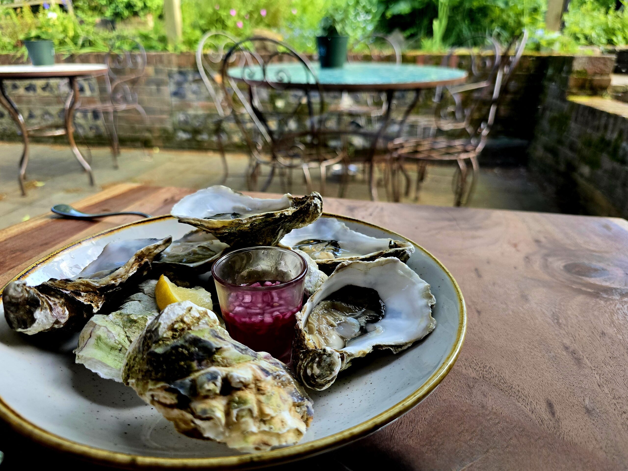 shot of the oysters served on the table in the garden of Jolly Sportsman