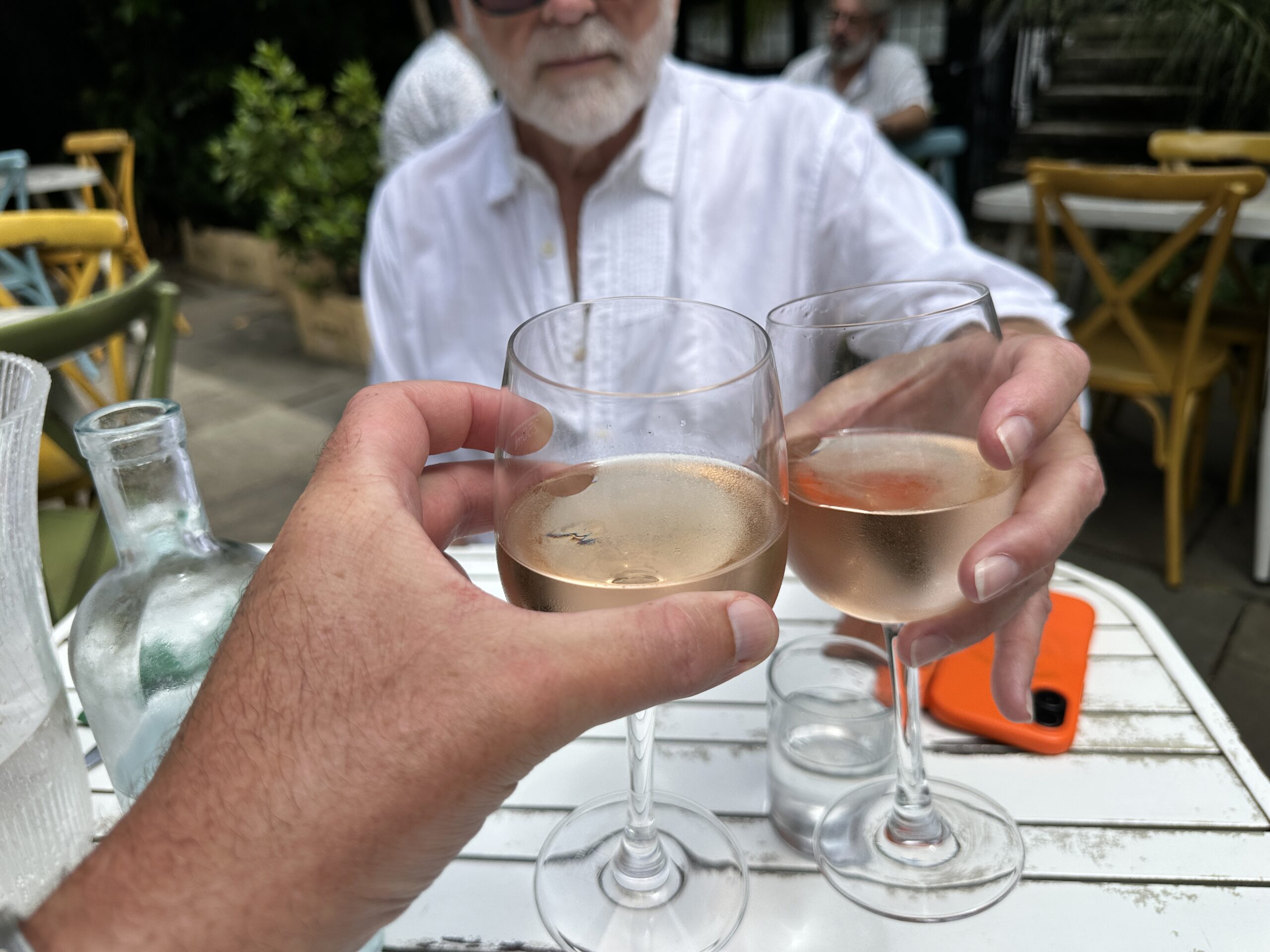 two people having toast with wine